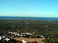 Ostuni - Panoramic view