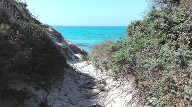 Riserva naturale ed area protetta di Torre Guaceto - Dune