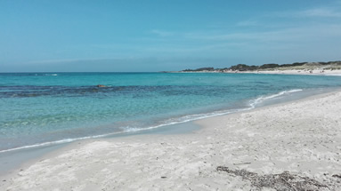 Torre Guaceto beach